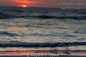 Sunset in Acapulco, Mexico by Alejandro Topete 